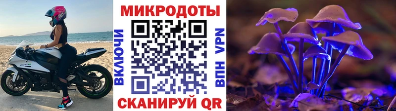 хочу наркоту  Кемь  Галлюциногенные грибы Psilocybine cubensis 
